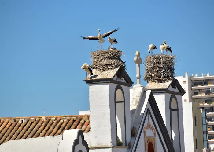 Sol Algarve By Kavia Faro